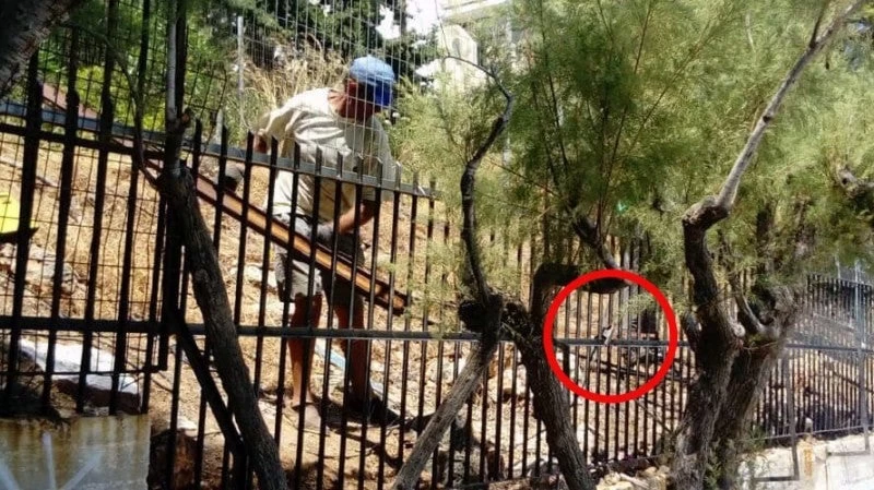 Παραλίγο φωτιά στο Πόρτο Ράφτη: Ασυνείδητοι με ηλεκτροκόλληση πετούσαν σπίθες κοντά σε ξερά χόρτα με 6 μποφόρ αέρα! (εικόνες)